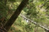 Harafudo_Falls_110_10222016 - Looking down at the suspension bridge above the Harafudo Falls