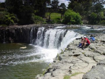 Haruru Falls was a short stopover that was essentially our waterfalling excuse to explore the Bay of Islands at Paihia.  The waterfall spanned the Waitangi River so it was much wider (maybe 15m)...
