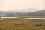Hayden_Valley_17_010_08102017 - Broad view across Hayden Valley towards a herd of grazing bison