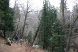 Heart_Rock_Falls_011_04042010 - Trail along Seeley Creek