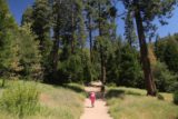 Heart_Rock_Falls_17_010_05202017 - Tall pines flanking the Seeley Creek Trail towering over Julie and Tahia during our May 2017 visit