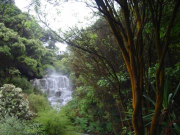 Kakahi Falls was our waterfalling excuse to check out the Hell's Gate Thermal Reserva and Spa.  What made this waterfall different from most of the others we had seen was that it was said to be the...