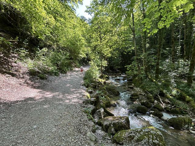 Herisson_011_iPhone_14_06172025 - The main trail leading to all of the Cascades du Herisson pretty much follows the flow of Le Herisson River, and all alternate paths feed into this trail like tributaries would for a river