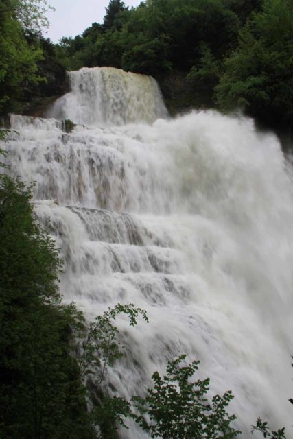 Herisson_038_20120521