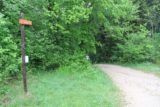 Herisson_120_20120522