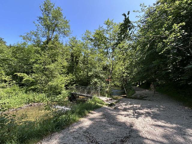 Herisson_228_iPhone_14_06172025 - The footbridge shown here was just upstream of Moulin Jeunet and was actually part of a trail leading to the one D39 Road as there were a few alternate trailheads or parking areas, including La Fromagerie