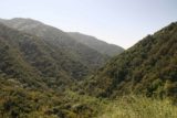 Hermit_Falls_007_04252010 - Looking into Big Santa Anita Canyon from the narrow trail to Hermit Falls