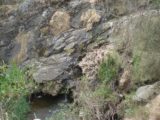 Hindmarsh_Falls_009_jx_11202006 - A trickling Hindmarsh Falls