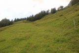 Hintertux_257_07182018 - I thought I could regain the Schleierfall Trail by going up this grassy pathway though it was definitely not an official trail