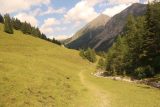 Hintertux_369_07182018 - Looking back at the grassy part of the trail as I had made it up to a trail junction very close to the bridge above the Weintalbach en route to the Schleierfall