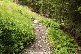 Hintertux_381_07182018 - While descending back down to the Hintertux Resort Area from the Schleierfall, I noticed these mountain bikers actually trying to go up this steep and narrow direct Schleierfall Trail