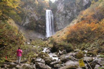 The Hirayu Waterfall was a classic columnar waterfall that was accentuated by the onset of the koyo (Autumn colors) during our visit.  An emphatic member of the Japan's Top 100 Waterfalls from the...