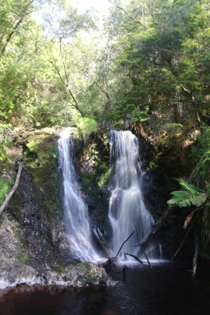 Hogarth_Falls_17_070_11282017 - Hogarth Falls