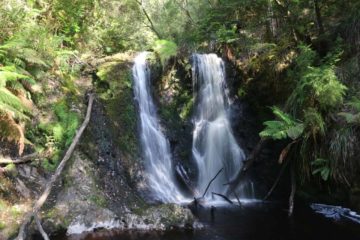 Hogarth Falls was our waterfalling excuse to visit the quaint coastal township of Strahan.  It was where Botanical Creek fell probably around 5-10m in cumulative height as there were further tiers...