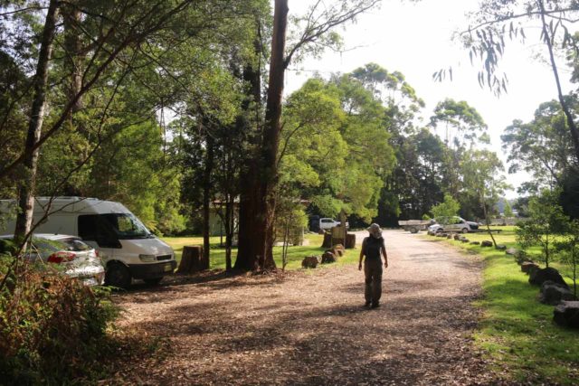 Hogarth_Falls_17_088_11282017 - Julie making it back to the People's Park