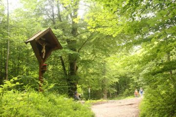Hollentalklamm_037_06262018
