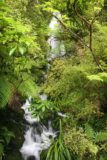 Hollyford_Track_034_12242009 - A hidden waterfall along the Hollyford Track