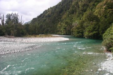 Hollyford_Track_112_12242009