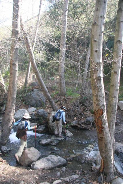 Holy_Jim_Falls_009_02142010 - Uno dei difficili attraversamenti di torrente sulla strada per Holy Jim Falls quando il torrente aveva una portata elevata