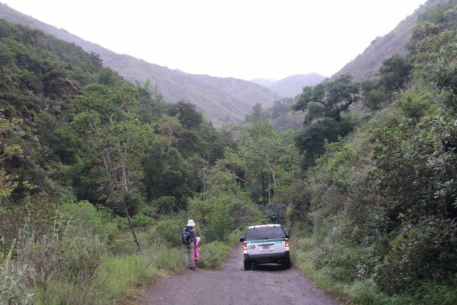 Holy_Jim_Falls_023_04102016 - Un vehículo de guardabosques de gran altura pasando por delante de nosotros mientras caminamos hacia las cataratas Holy Jim