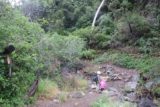 Holy_Jim_Falls_040_04102016 - Julie y Tahia cruzando otro de los arroyos aunque fue mucho más fácil durante nuestra visita de 2016 que durante nuestra visita de 2010 cuando había mucha más agua