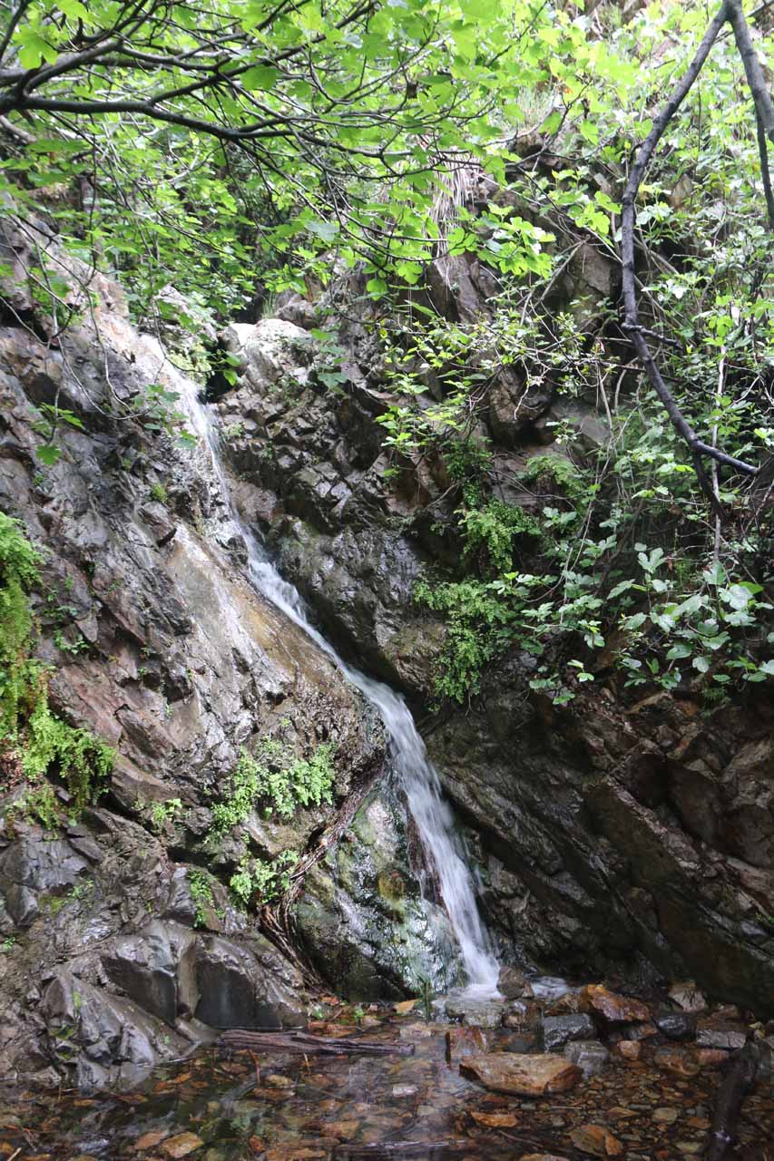Holy Jim Falls - An OC Waterfall with a Beekeeping Heritage