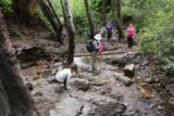 Holy_Jim_Falls_137_04102016 - Guardando indietro a quell'ultimo attraversamento del torrente mentre ci stavamo dirigendo verso il parcheggio dopo aver fatto il pieno di Holy Jim Falls nell'aprile 2016