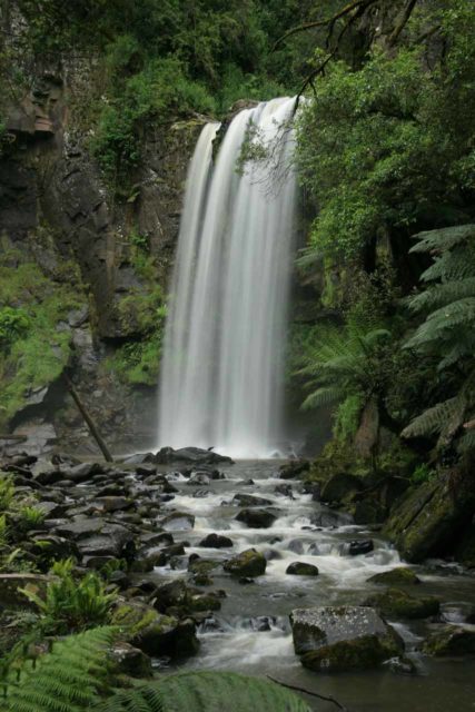 Hopetoun_Falls_024_11152006 - Hopetoun Falls as seen from the bottom during our first visit back in November 2006
