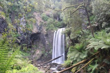 Hopetoun Falls was certainly one of the more pleasing waterfalls that we visited during our drought-stricken trip to Victoria in November 2006. And it performed equally well during a follow-up trip...