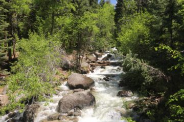 Horsetail_Falls_Alpine_018_05272017