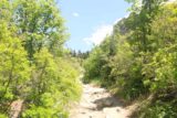 Horsetail_Falls_Alpine_029_05272017 - Still continuing the long and semi-rocky climb along the Horsetail Falls Trail