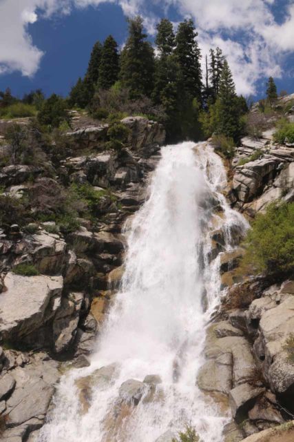 Horsetail_Falls_Alpine_107_05272017 - Horsetail Falls