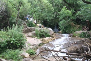 Huesna_034_05242015