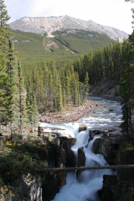 Icefields_Parkway_081_09182010 - Sunwapta Falls