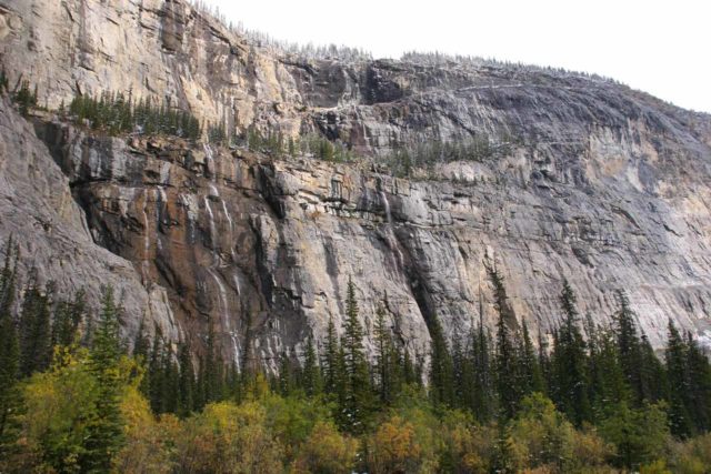 Icefields_Parkway_405_09212010 - The Weeping Wall consisting of only a few strands of thin waterfalls when we saw it in September 2010