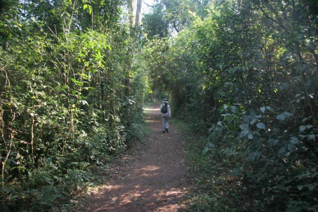 Iguazu_Falls_759_09022007 - Julie on the trail headed to Salto Arrechea