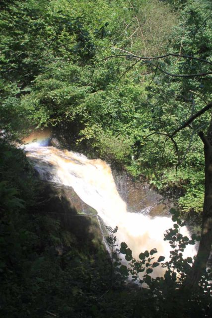 Ingleton_Waterfalls_Trail_052_08172014