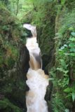 Ingleton_Waterfalls_Trail_194_08172014