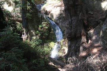 Canyon Falls was the unfortunate overshadowed neighbor to the gorgeous McWay Falls as they share the Julia Pfeiffer Burns State Park.  That said, its 