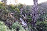 Jack_Creek_Falls_031_03262023 - Another contextual look at Jack Creek Falls as seen from the Jack Creek Nature Trail