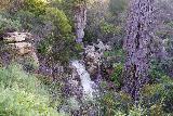 Jack_Creek_Falls_039_03262023 - Another look down towards Jack Creek Falls as seen from the Jack Creek Nature Trail