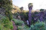 Jack_Creek_Falls_044_03262023 - Another contextual trail shot of Jack Creek Falls and its surroundings