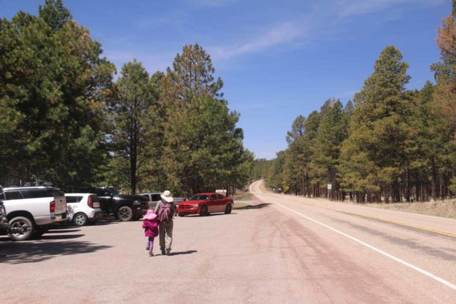 Jemez_Falls_003_04152017 - Aunque la carretera de las cataratas de Jemez estaba cerrada, todavía había un montón de coches aparcados a lo largo de la carretera 4 justo al lado de la puerta