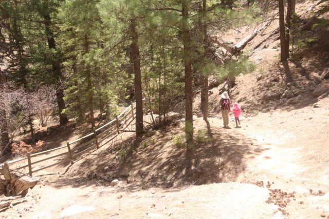 Jemez_Falls_035_04152017 - Julie e Tahia descendo para um labirinto de trilha. Se você chegar até aqui, isso significa que você perdeu a trilha do espigão fácil de perder para Jemez Falls