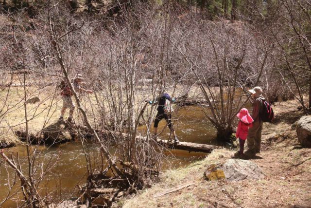 Jemez_Falls_039_04152017 - Unii oameni au încercat să traverseze râul East Fork Jemez în căutarea Cascadei Jemez, dar nu și-au dat seama că acest drum nu îi va duce acolo