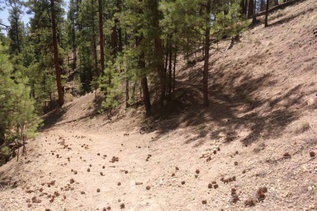 Jemez_Falls_041_04152017 - Este foi o caminho muito fácil de perder, onde uma trilha muito fina e desbotada para a direita levava ao mirante de Jemez Falls. O trilho mais largo à esquerda apenas descia para o rio Jemez Forquilha Oriental