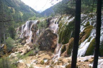 Our Tibetan guide said the Pearl Shoal Waterfall (珍珠滩瀑布 [Zhēnzhū Tán Pùbù]) was the most beautiful waterfall in the Jiuzhaigou Nature Reserve (九寨沟自然保护区 [Jiǔzhàigōu Zìrán Bǎohùqū]; 9 Village Gully)...
