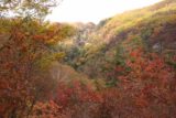 Jofu_Falls_050_10182016 - The peak of the Autumn colors were definitely in full effect around the Jofu Falls Trail