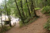John_B_Yeon_SP_009_08172017 - The start of the Upper McCord Creek Falls Trail as it climbed above the parking lot