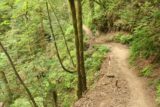 John_B_Yeon_SP_023_08172017 - The Elowah Falls Trail now followed this narrow ledge along McCord Creek during my August 2017 visit